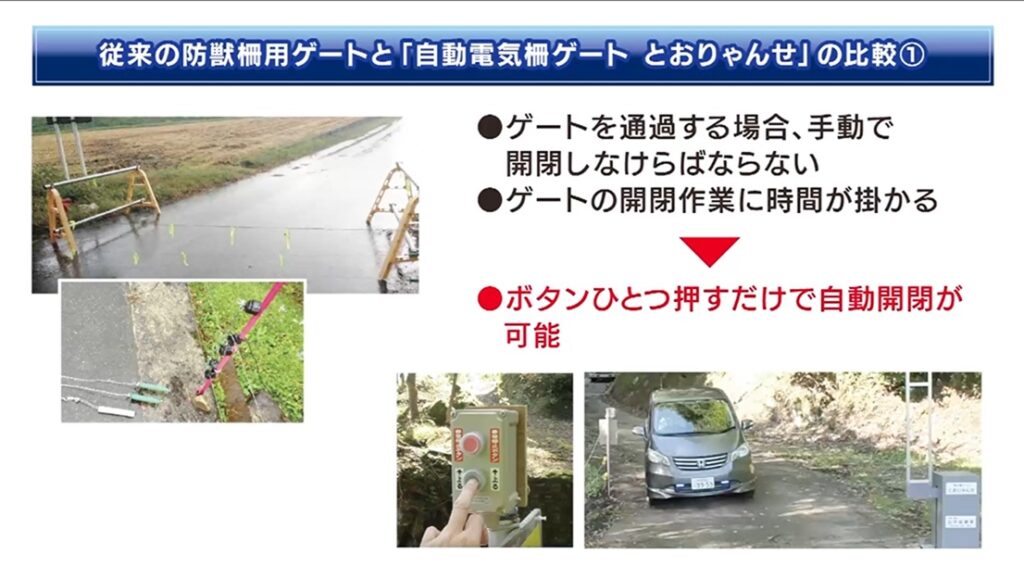 従来の防獣柵用ゲートと「自動電気柵ゲート　とおりゃんせ」の比較１